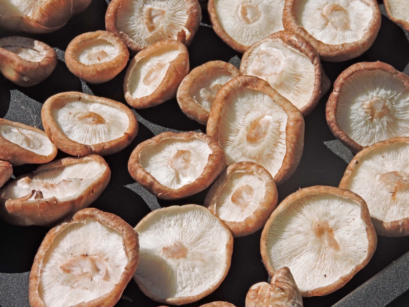 VITAMIN D MUSHROOMS Carb Wars Cookbooks